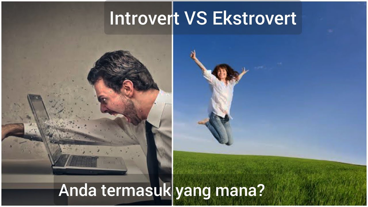 tes MBTI